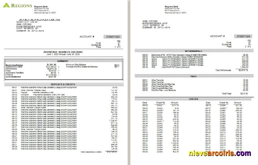 USA Regions bank statement Word and PDF, 3 pages, version 2